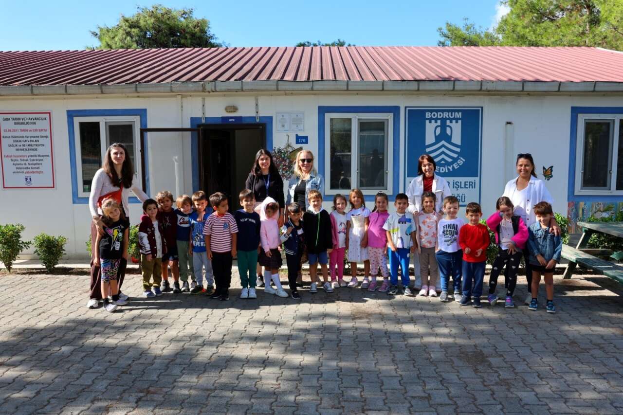 Bodrum Belediyesi’nden Sokak Hayvanlarına Şefkat Eli 3